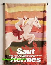 Luxury Hermès Inspired Flannel Sofa Blanket – Sunset Horse Print throw blanket IMG_5497